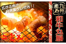 国産 丸腸 500g マル腸 牛 ホルモン 焼き肉 焼肉 BBQ おかず 晩ごはん 夕食 お肉 年末 年始 簡単 下処理 肉 オニク年末 年始 春 夏 秋 冬 家族 イベント 牛若丸タレ付セット 福岡