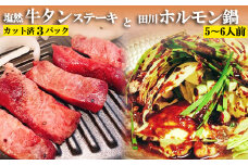 塩然牛タンステーキ（カット済3パック）と田川ホルモン鍋（5～6人前）セット G25-S