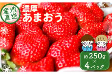 【先行受付】福岡県産いちご【あまおうグランデサイズ】3玉～15玉（4パック）1月から発送        
