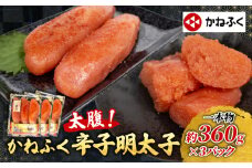 太腹! かねふく 辛子明太子 (一本物･約360g×3パック) 冷凍 約1kg 旨たれ付き 特大 めんたいこ 大容量 明太子 太腹明太 ブランド明太子 おかず おつまみ おにぎり ごはんのお供 パスタ うどん ラーメン にも ギフト 贈答 贈り物 プレゼント 祝い 魚卵 魚介 海鮮 本場 福岡県 川崎町
