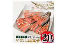 いわし明太子 20尾(5尾 4pc) 国産真いわし 辛子明太子 化粧箱入 贈答