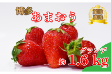 あまおう グランデ等級　約270ｇ×6パック（2月～4月に順次発送予定） 冷蔵 小分け いちご 福岡県産 苺 あまおうイチゴ フルーツ あまおう 果物 スイーツ くだもの 冬 春 旬 福岡 九州 福岡県 川崎町 数量限定 期間限定
