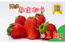 あまおう約270ｇ×4パック（１月～4月に順次発送予定）冷蔵 小分け いちご 福岡県産 苺 あまおうイチゴ フルーツ あまおう 果物 スイーツ くだもの 冬 春 旬 福岡 九州 福岡県 川崎町 数量限定 期間限定