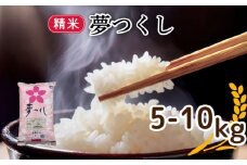 令和6年福岡県産夢つくし精米 10kg(5kg×2) 米 お米 白米 ご飯 飯 防災 備蓄 防災 10kg コメ メシ 朝食 夕ご飯 お弁当 おにぎり 長期保存 福岡県産米 福岡 川崎町