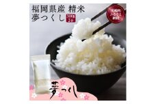 夢つくし 300g（精米） お試しサイズ 便利 少量 令和6年産 米油 ブランド米 福岡県産米 産地直送 お米 おこめ こめ コメ ゴハン メシ 飯 夕ご飯 美味しいご飯 米 白米  ライス ごはん 防災 備蓄 備蓄米 防災 夕食 長期保存 地震 緊急 避難 訳あり ポスト投函 メール便 2000円 福岡県 川崎町