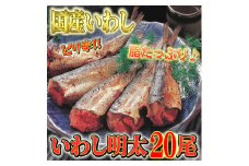 ピリ辛　いわし明太20尾　福岡名物の辛子明太子を鰯に詰め込みました。唐辛子好き辛党の方に。川崎町