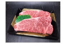 【数量限定】 博多和牛サーロインステーキ用500g(2枚入) 川崎町