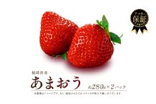【2026年3月発送】福岡県産 あまおう 約280g×2P 約560g 冷蔵 小分け いちご 苺 イチゴ フルーツ 果物 スイーツ くだもの 冬 春 旬 福岡 九州 福岡県 川崎町 数量限定 期間限定 ONE GO