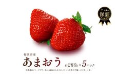 【2026年3月発送】福岡県産 あまおう 約280g×5P 約1.4kg 冷蔵 小分け いちご 1kg以上 苺 イチゴ フルーツ 果物 スイーツ くだもの 冬 春 旬 福岡 九州 福岡県 川崎町 数量限定 期間限定