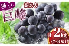  【2025年8月中旬発送】訳あり  種なし巨峰 ２kg 7～8房 冷蔵 ぶどう 巨峰 フルーツ 福岡県川崎町 太田農園 先行予約  数量限定