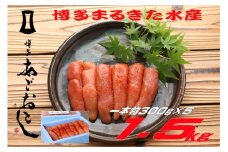【ギフト用】博多まるきた水産　無着色辛子明太子1.5kg(一本物300g×5)