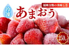 冷凍あまおう小分けパック250g（250ｇ×1個）いちご あまおう 福岡県産苺 いちご あまおう イチゴ 苺 あまおう 苺 数量限定 苺 いちご あまおう 福岡県産 苺 いちご あまおう