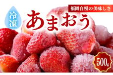 冷凍あまおう小分けパック500g（250ｇ×2個）いちご あまおう 福岡県産苺 いちご あまおう イチゴ 苺 あまおう 苺 数量限定 苺 いちご あまおう 福岡県産 苺 いちご あまおう