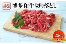 訳あり 黒毛和牛 切り落とし 250g 焼肉 和牛 牛肉 ブランド和牛 スライス 焼き肉 お肉 便利 長期保存 ギフト プレゼント 焼肉 惣菜 BBQ 夕食 福岡 川崎