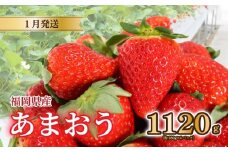 【2026年1月発送】 苺 あまおう 1120g (280g×4) いちご あまおう 福岡県産苺 いちご あまおう イチゴ 苺 あまおう 苺 数量限定 苺 いちご あまおう 福岡県産 苺 いちご あまおう【1月上旬より順次出荷】 