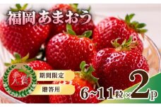 【2026年1月から発送予定】先行予約! 数量限定 福岡産 あまおう６粒～11粒×2パック セット いちご 苺 イチゴ フルーツ 果物 くだもの 春 旬 福岡 九州 福岡県 川崎町 