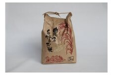 ＜令和元年新米＞【数量限定】減農薬で作った夢つくし 5kg（玄米）