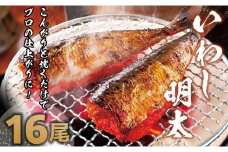 【ギフト用】いわし明太１６尾