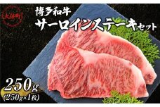 博多和牛サーロインステーキ　250ｇ（250ｇ×1枚）【牛肉 肉 博多和牛 和牛 サーロイン ステーキ セット 250g 国産 福岡 九州 博多 送料無料 福岡県 大任町 AN024】