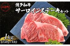 博多和牛サーロインステーキセット　1kg（250ｇ×4枚）【牛肉 肉 博多和牛 和牛 サーロイン ステーキ セット 1kg 国産 福岡 九州 博多 送料無料 福岡県 大任町 AN025】