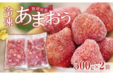 福岡産冷凍あまおう500g×2袋【いちご イチゴ 苺 果物 フルーツ あまおう 博多あまおう 冷凍あまおう 冷凍 福岡産  アイス 贅沢 お菓子 菓子 おかし デザート パフェ ヨーグルト ジャム ソース ババロア ムース スムージー かき氷 シャーベット 冷凍食品 人気 おすすめ 福岡県 大任町 ふるさと納税 送料無料 AH004】
