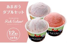ふくち★リッチジェラート　あまおうダブルセット3種（各種４個　合計12個入）【いちご イチゴ 苺 果物 フルーツ あまおう 博多あまおう 福岡産 甘い ジェラート ソルベ アイス フレーバー 贅沢 お菓子 菓子 おかし デザート 冷凍食品 人気 おすすめ 福岡県 大任町 ふるさと納税 送料無料 AQ003】