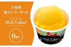 ふくち★リッチジェラート　大任産桜マンゴーセット（６個入）【マンゴー まんごー 桜マンゴー フルーツ 濃厚 甘い ジェラート アイス 贅沢 お菓子 菓子 おかし デザート 冷凍食品 人気 おすすめ 大任町産 福岡県 大任町 ふるさと納税 送料無料 AQ004】