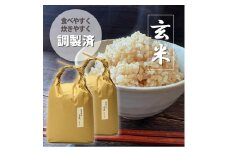 ＜令和6年産＞福岡県産【特A】評価のお米「元気つくし」5kg×2袋 [10kg] [玄米]【米 お米 こめ ご飯 福岡県産 食べ比べ 玄米 健康 志向 食品 人気 おすすめ 福岡県 大任町 AP046】