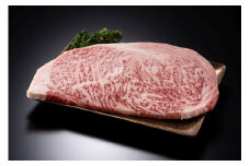 【定期便全6回】博多和牛【A4～A5】（ヒレ150g＆サーロイン250g）　各1枚　計400g