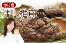 赤村産　干し椎茸 約250g L2