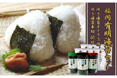 福岡有明のり 海セット①（７０枚入りボトル×３本・半切り５枚入り×８袋） 2A1
