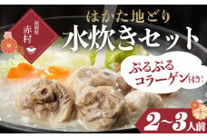 はかた地どり 美人水炊きセットＡ（２～３人前） 2T4