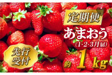 【先行予約】福岡県産「あまおう」定期便3回お届け (1月・2月・3月) 2J2