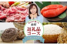 あとから選べる返礼品【５０万円コース】