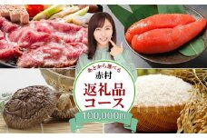 あとから選べる返礼品【１０万円コース】
