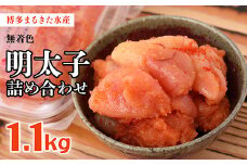博多 まるきた水産 明太子 1.1kg 無着色 明太子 詰め合わせ Z6