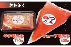 かねふく<無着色>辛子明太子170g（一本物）とチューブ 明太子 500gセット Z3