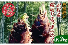 【数量限定】赤村産　朝掘り皮つき竹の子　約3kg S1