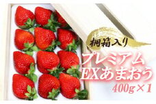 ティッシュボックス用特別仕様の桐箱入りプレミアムあまおう あまおうEX400g×1パック 3SA3