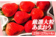 厳選大粒あまおう（4パック） 3SA2