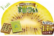 【福岡県産】キウイフルーツ「博多甘うぃ」化粧箱入り約1.4kg 2L10