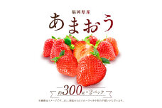 【赤村限定】 福岡県ブランドいちご“あまおう” 農家直送【300g×2パック】 ふるさと納税 あまおう ブランドいちご フルーツ 果物 旬 イチゴ 苺 福岡県産 送料無料 ふるさと ランキング 人気 おすすめ 2Z6