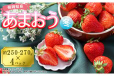 【冬】福岡産あまおう4パック 4A2