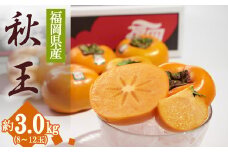 福岡限定!ブランド柿「秋王(あきおう)」約3kg(8-12玉) 4A19