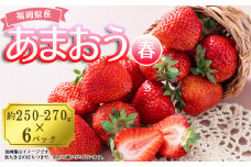 【春】福岡産あまおう6パック 4A4