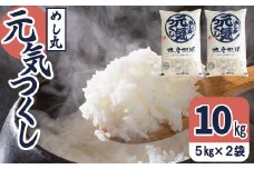 果物屋さんが選んだ米「元気つくし」10kg 4A25