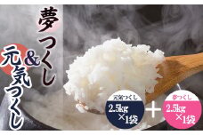 果物屋さんが選んだ米食べ比べ「夢つくし&元気つくし」2.5kg×2袋 4A26