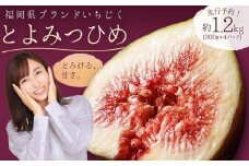 福岡県ブランドいちじく「とよみつひめ」約1.2kg(約300ｇ×4パック) 3W2