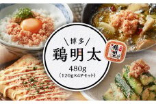 博多　鶏明太480g（120ｇ×4Pセット） Y24