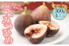 福岡限定!ブランドいちじく「とよみつひめ」約300g×4パック 4A15